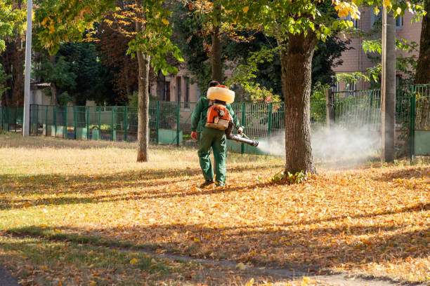 Flea Control Services in Pleasant Run Farm, OH